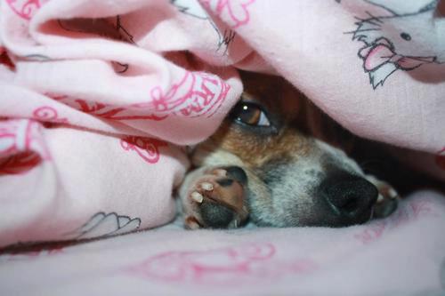 535820_494281017288061_158090488_n